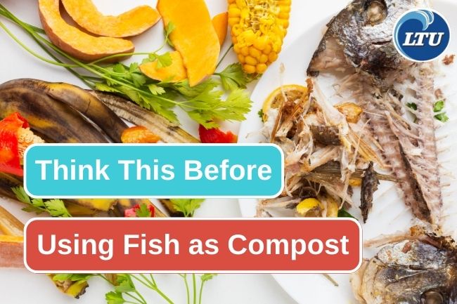 You Should Think Of This Before Using Fish Scraps As Compost